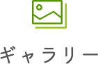 ギャラリー
